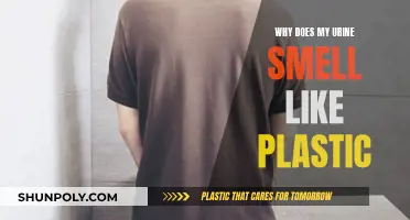 Unusual Urine Odor: Why Does It Smell Like Plastic?