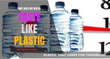 Plastic Taste in Water: Causes and Solutions