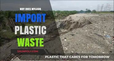 Malaysia's Plastic Waste Imports: Understanding the Dark Side