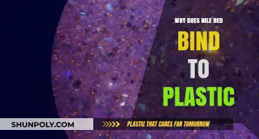 How Nile Red Dye Interacts with Plastics