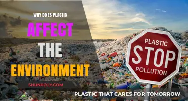 Plastic's Impact: Devastating Environmental Effects