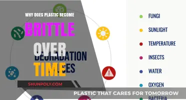 Plastic Degradation: Why Brittle Breakage?
