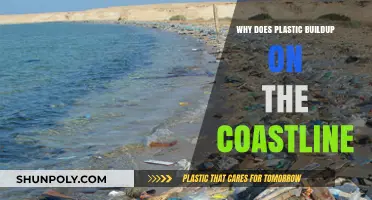 Plastic Pollution: Coastlines in Crisis