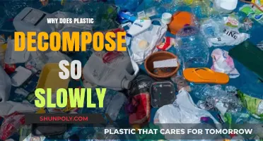 The Mystery of Plastic's Slow Decomposition