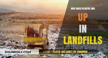 Plastic's Journey: Landfills' Culprit