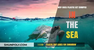 Ocean's Plastic Crisis: Uncovering Reasons Behind Marine Dumping