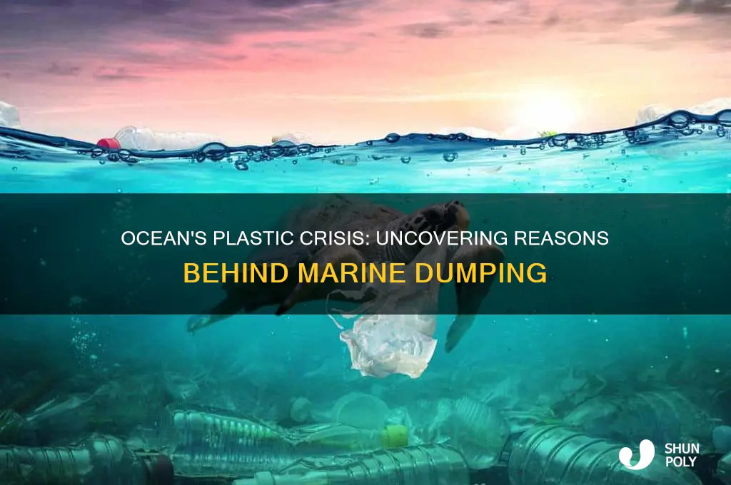 why does plastic get dumped in the sea