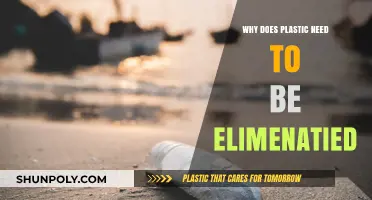 Plastic's Harmful Impact: Why We Must Act Now