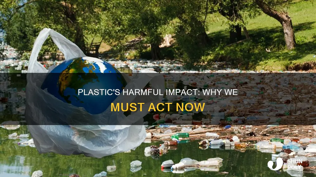 why does plastic need to be elimenatied