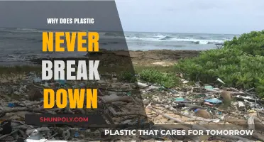 Plastic's Eternal Life: Why It Never Decomposes