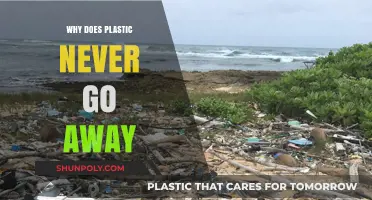 Plastic's Forever: Why It Never Decomposes