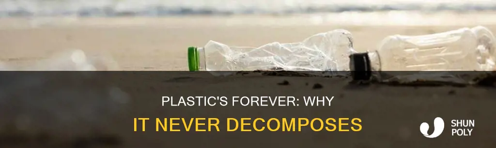 why does plastic never go away