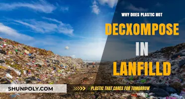 Plastic's Persistence: Why Landfills Don't Decompose Plastics