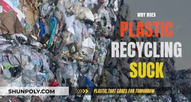 Plastic Recycling: Ineffective, Inefficient, and Environmentally Damaging