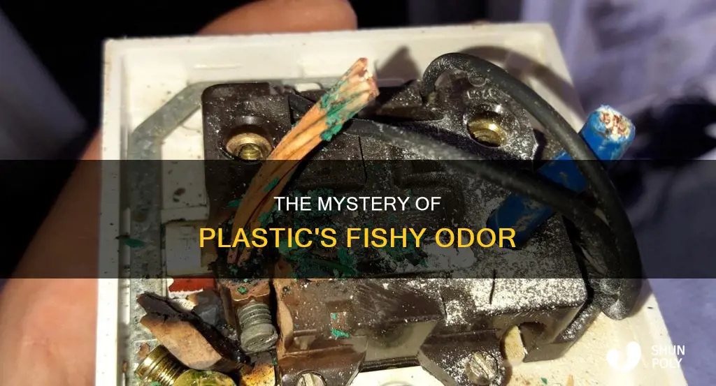 why does plastic smell like fish