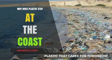 Plastic Pollution: Why It Lingers on Our Coasts