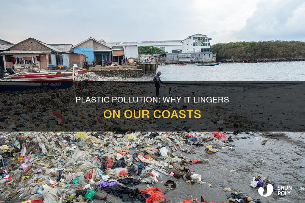 why does plastic stay at the coast