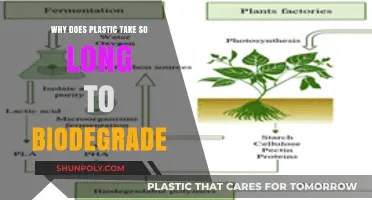 Unraveling the Mystery: Why Plastic Takes Eons to Biodegrade