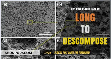 Unraveling the Mystery: Why Plastic Takes Eons to Decompose
