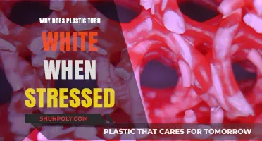 Plastic Stress: Why Does It Turn White?