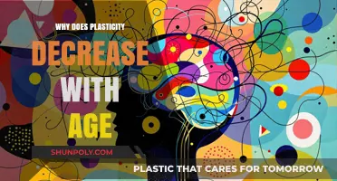 The Aging Brain: Losing its Plasticity and Flexibility