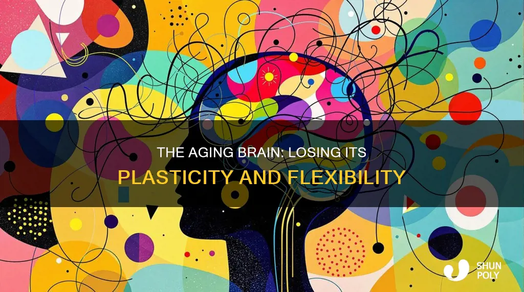 why does plasticity decrease with age