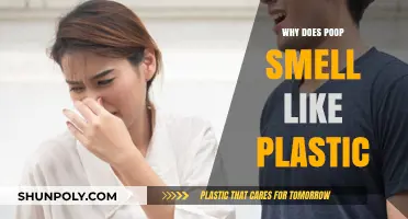 The Stinky Truth: Why Poop Smells Like Plastic