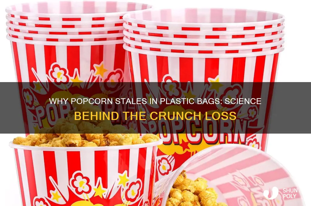 why does popcorn get stale in plastic bag