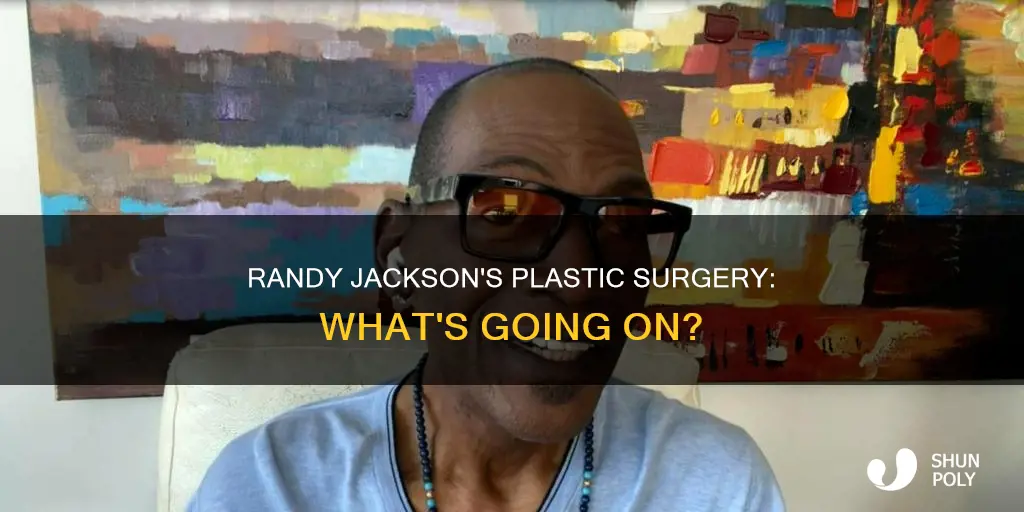 why does randy jackson look like plastic
