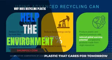 How Recycling Plastic Benefits Our Environment