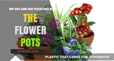 Why Sams Uses Plastic Bags in Flower Pots: Unveiling the Reason