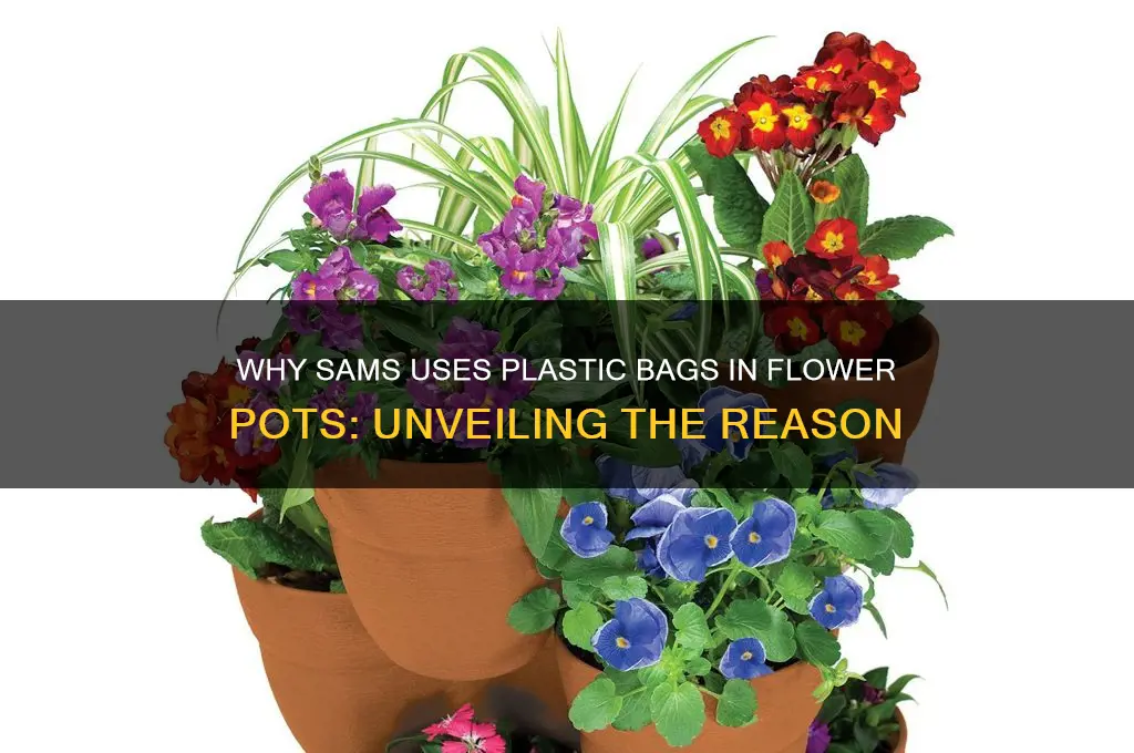why does sams have plastic bags in the flower pots