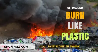 The Mystery Behind Snow's Plastic Burning Scent