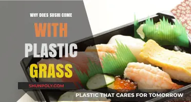 Sushi's Plastic Grass: Why It's There and What It Does