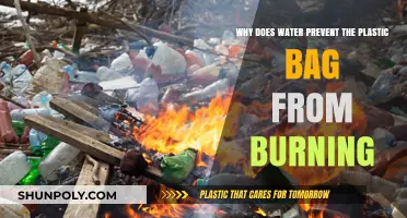 How Water's Heat Absorption Shields Plastic Bags from Burning