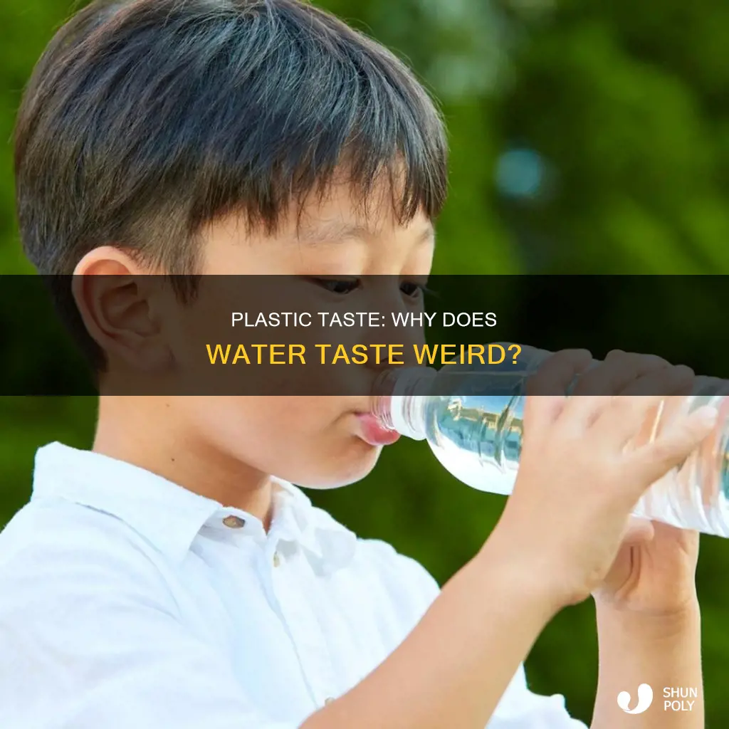 why does water taste like plastic