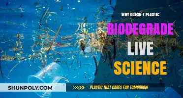How Plastic Pollution Persists in the Environment
