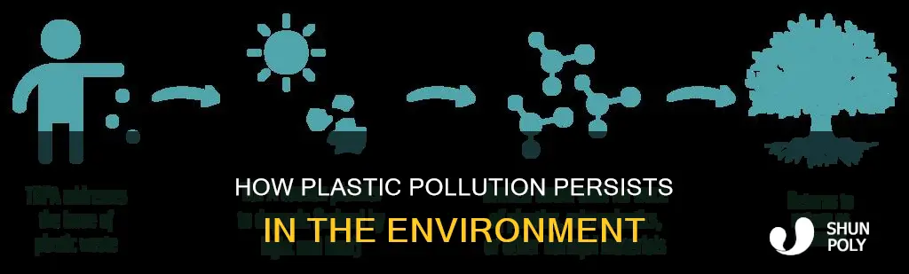 why doesn t plastic biodegrade live science