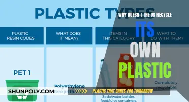 The US Plastic Waste Problem: Why Not Recycle Domestically?