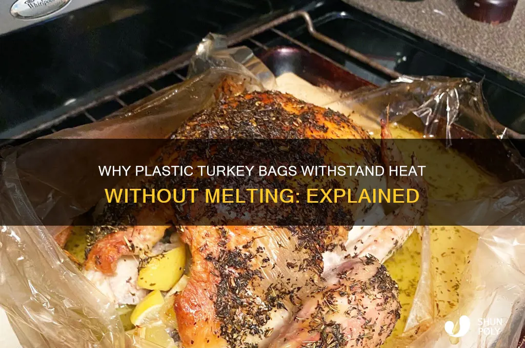 why doesnt plastic turkey bag melt