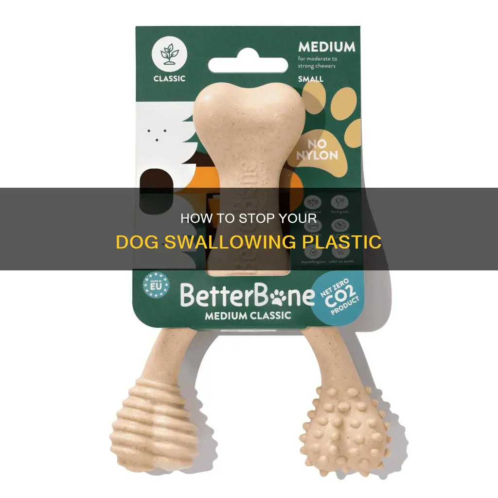 why dog swallows plastic from toy