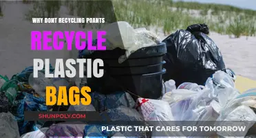 Why Recycling Plants Refuse to Recycle Plastic Bags: Unpacking the Issue