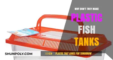 The Disappearance of Plastic Fish Tanks: Exploring the Shift in Aquarium Design