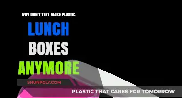 The Decline of Plastic Lunch Boxes: Exploring the Shift to Alternatives