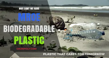 The Future of Biodegradable Plastic: Why Isn't It Mainstream?