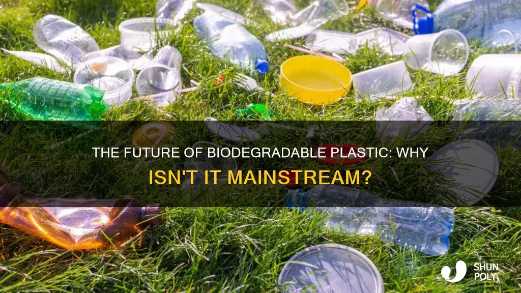 why dont we have mroe biodegradable plastic