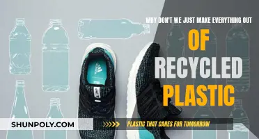 The Promise and Perils of Recycled Plastic Revolution