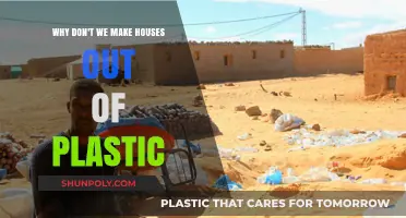 Plastic Houses: Exploring the Reasons Behind Their Absence in Construction