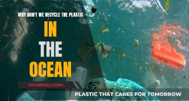 Ocean Plastic: Recycling's Challenge