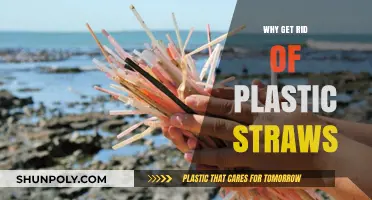 Ditching Plastic Straws: Small Change, Big Impact on Our Planet
